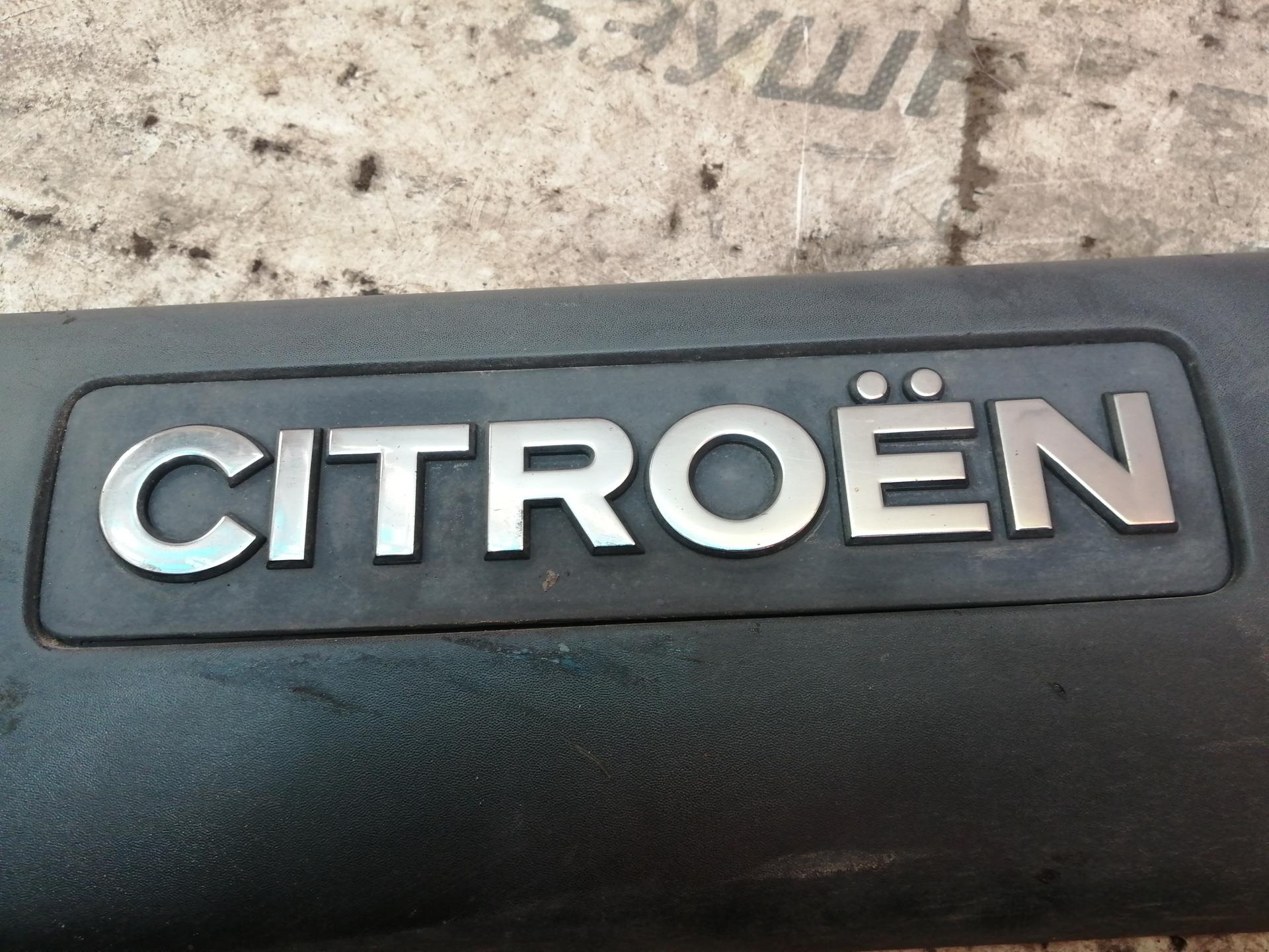 Накладка декоративная (молдинг) передней левой двери Citroen Berlingo 1 купить в России