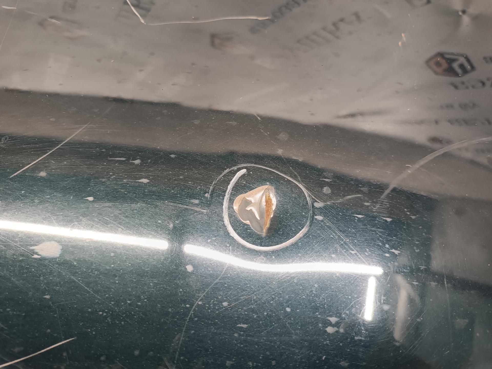 Крышка (дверь) багажника Mazda Xedos6 купить в России