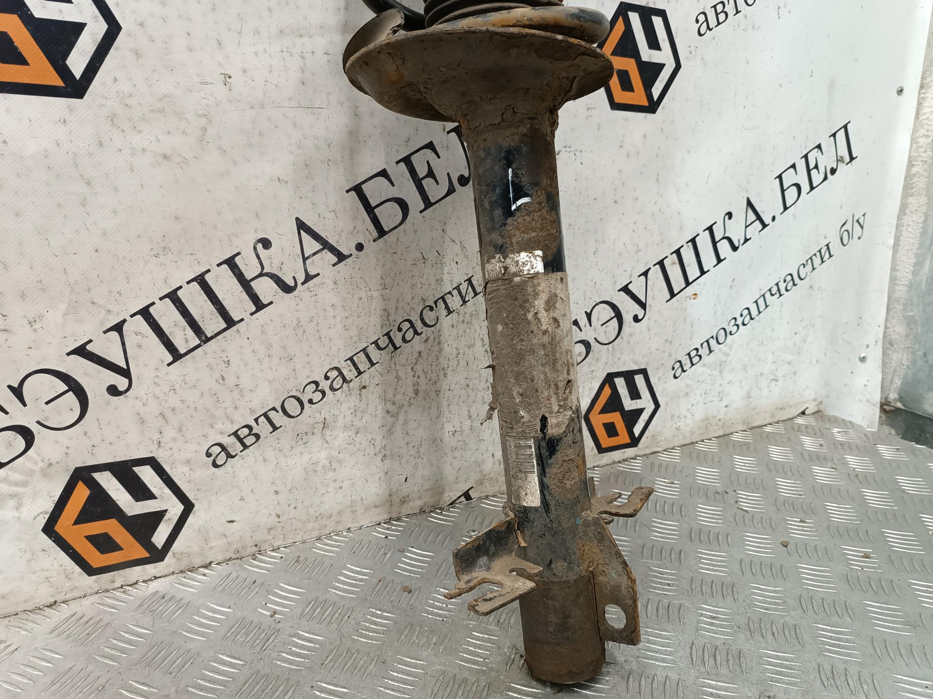 Стойка амортизатора переднего левого (МакФерсон) Citroen Jumper (Relay) 3 купить в Беларуси